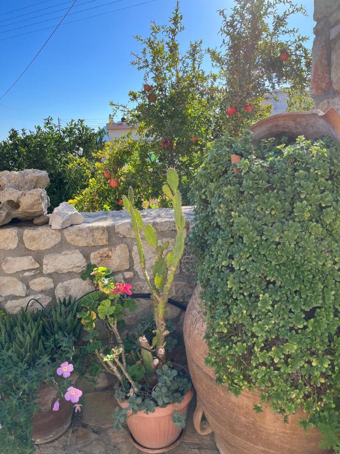 הוילה Khárakas Katerina'S Rest Stone Ηouse מראה חיצוני תמונה